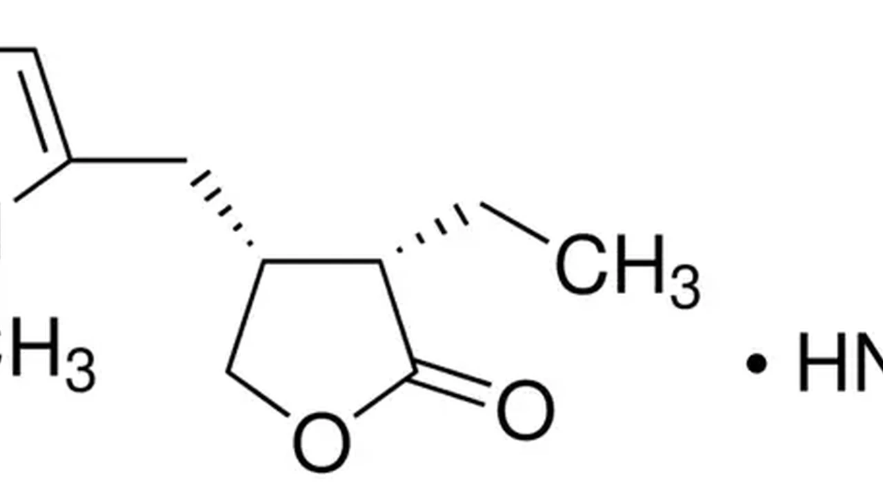 pork chops with cream sauce