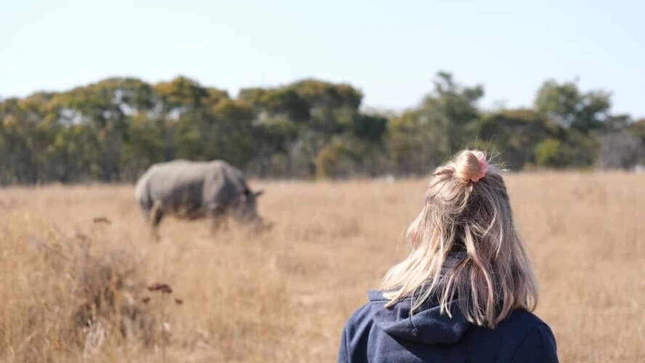 Close up on a plate of mashed potatoes, topped with baked pork chops with cream of mushroom soup, and a side of green beans.