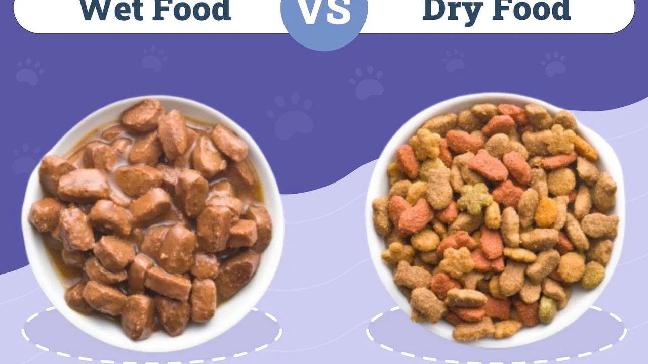 Two mint chocolate milkshakes with whipped cream and green sprinkles.