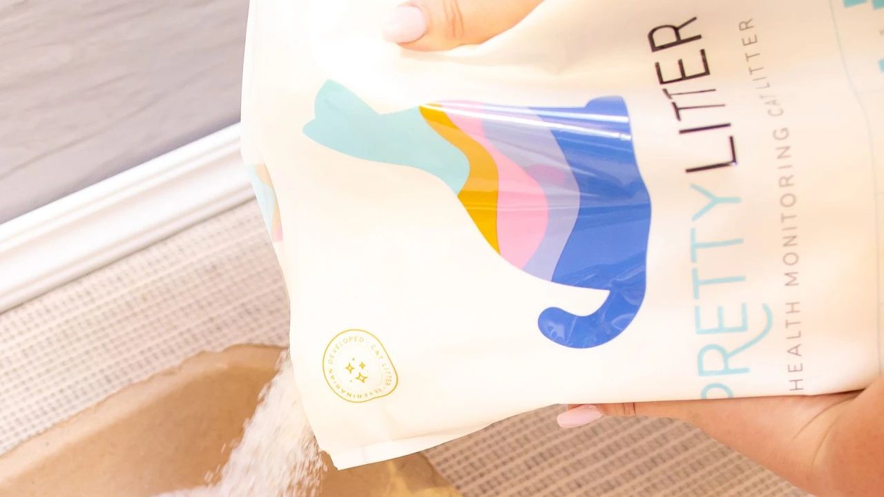 Two mint chocolate milkshakes with whipped cream and green sprinkles.