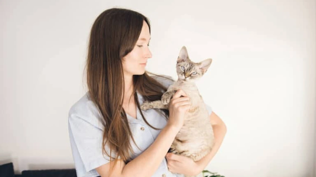 Chef John's Irish Soda Bread