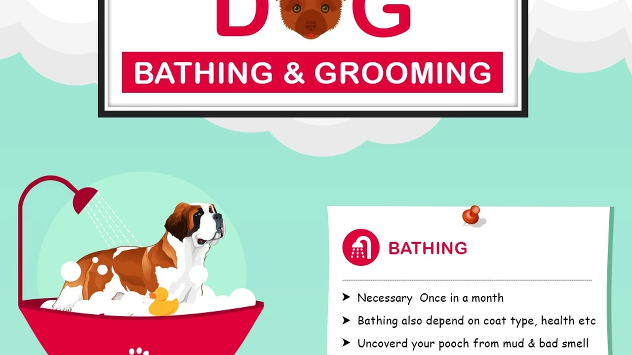 Close up on a plate of mashed potatoes, topped with baked pork chops with cream of mushroom soup, and a side of green beans.