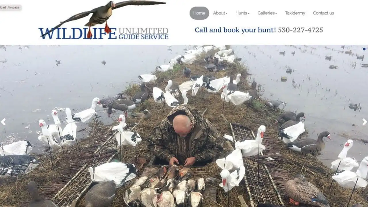 Close up on a plate of mashed potatoes, topped with baked pork chops with cream of mushroom soup, and a side of green beans.