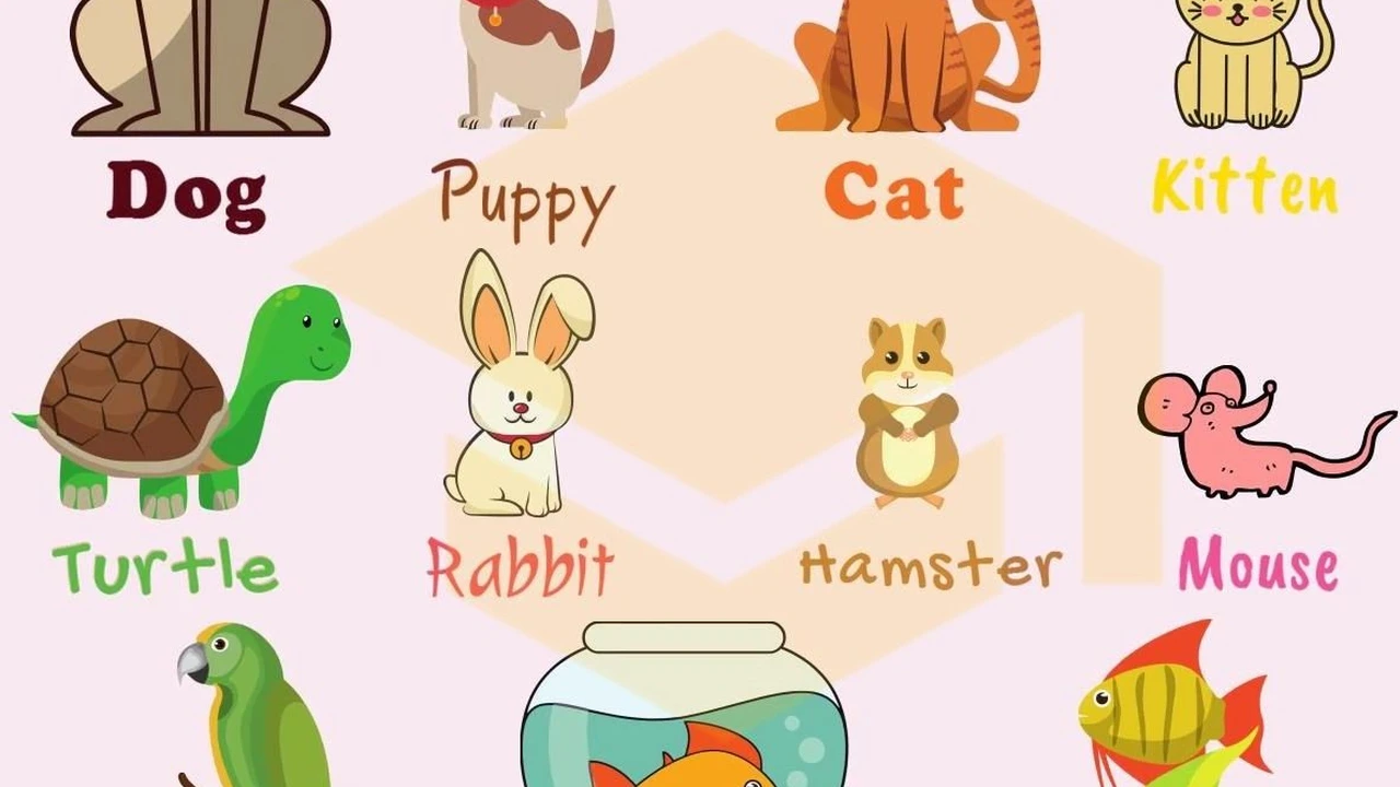 Easy, Two-Ingredient Pulled Pork