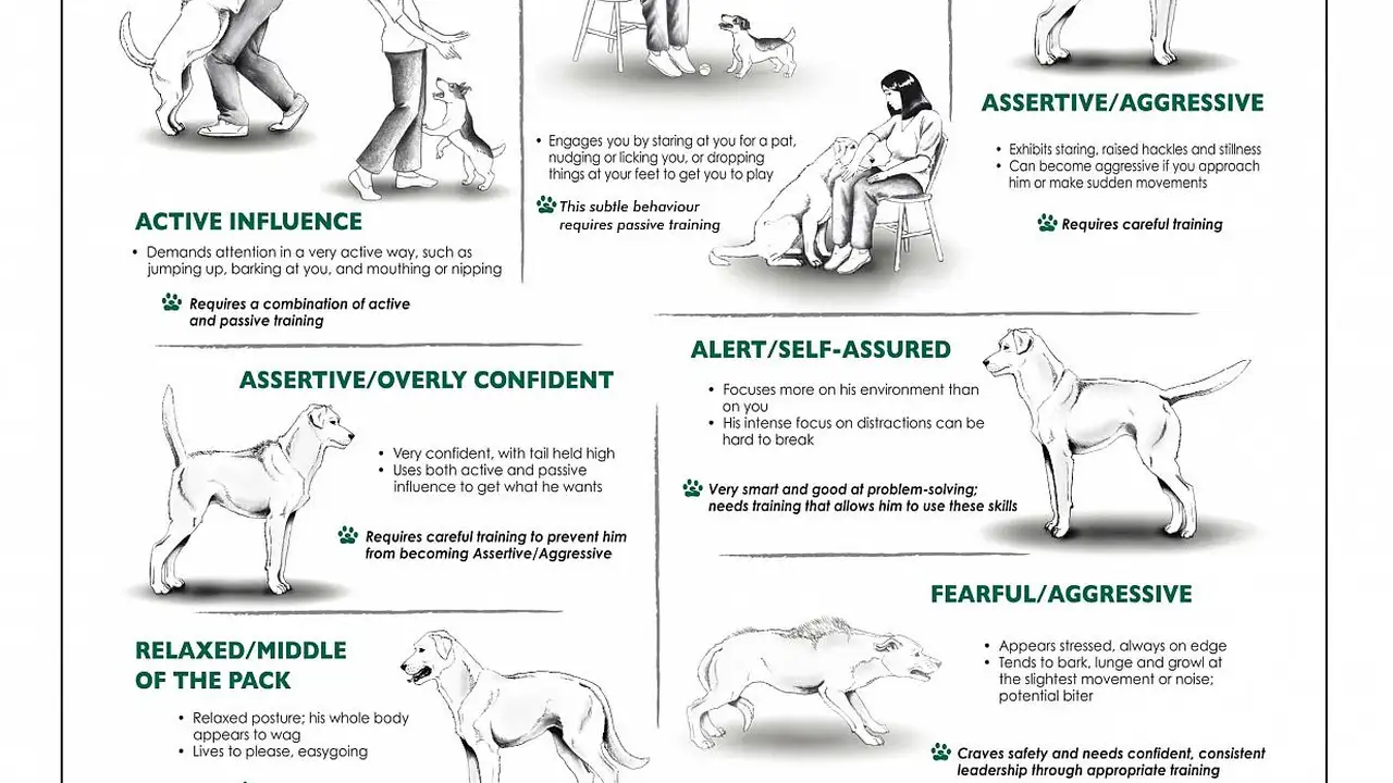 Close up on a plate of mashed potatoes, topped with baked pork chops with cream of mushroom soup, and a side of green beans.